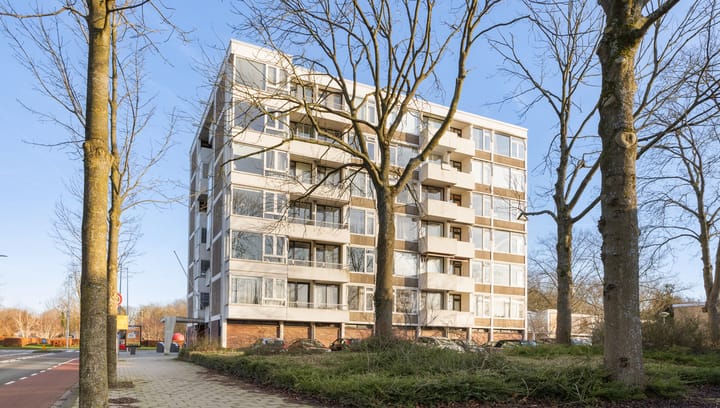 Photo 32 of Van Boshuizenstraat 63