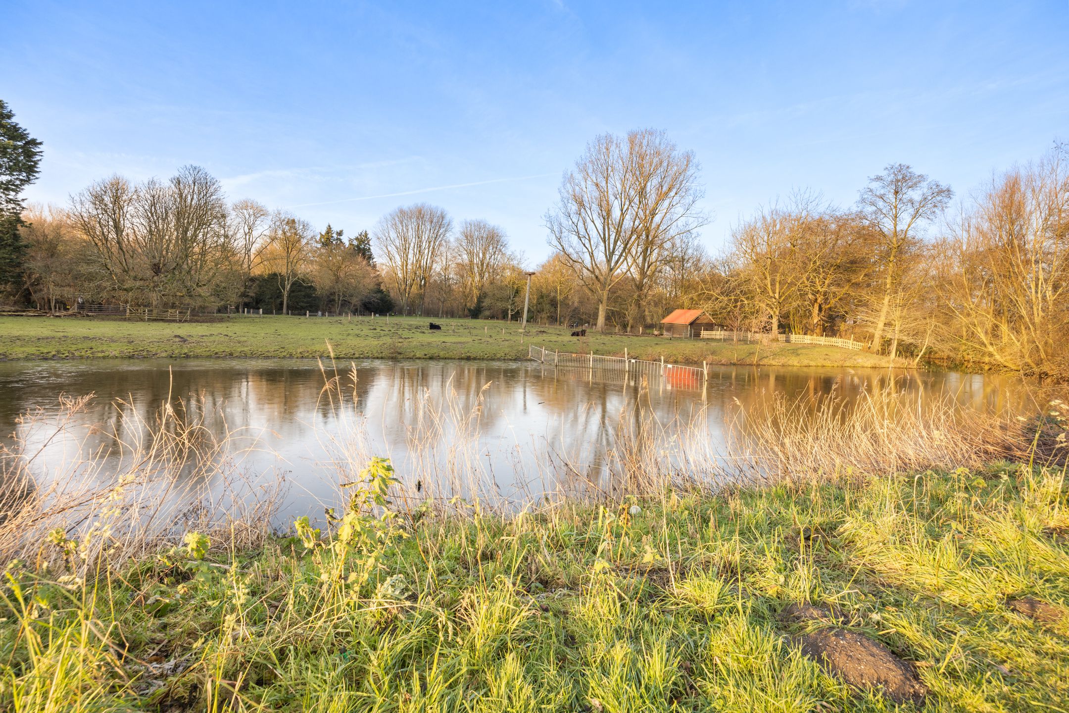 Foto 36 van Van Boshuizenstraat 63