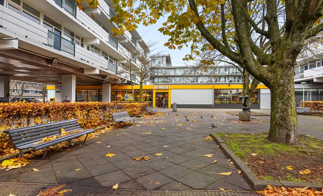 Foto 38 van Van Boshuizenstraat 63