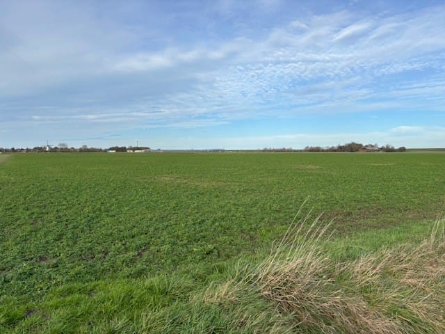 Bekijk foto 4 van Parallelweg