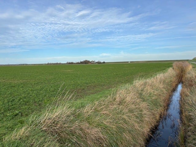 Bekijk foto 3 van Parallelweg