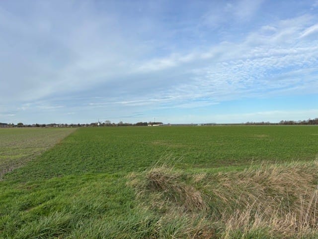 Bekijk foto 2 van Parallelweg