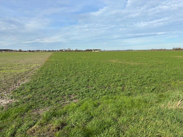 Bekijk foto 5 van Parallelweg