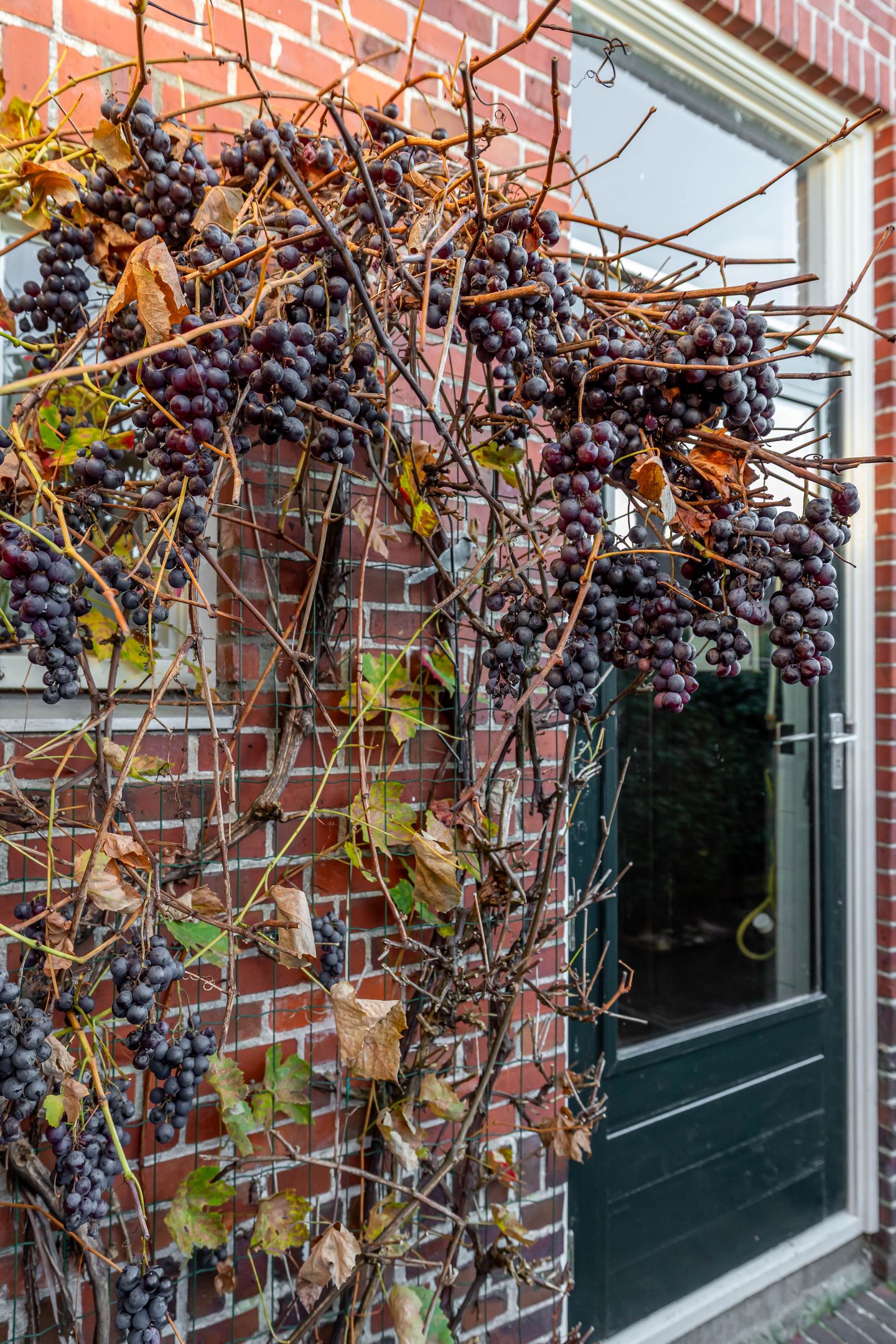 Foto 49 van Nieuwstraat 5