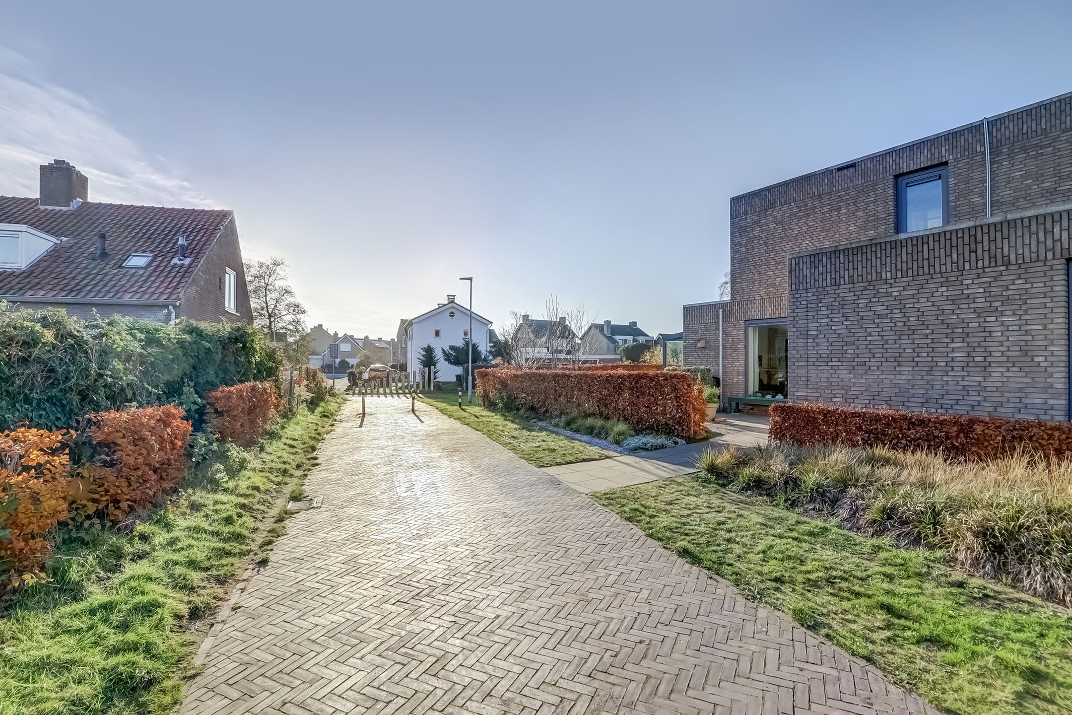 Foto 6 van Domineesbosje 16