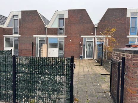 undefined main image