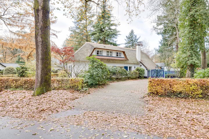 Foto 39 van Larixlaan 2