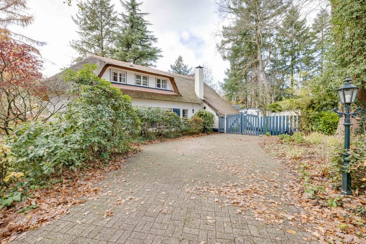 Foto 40 van Larixlaan 2