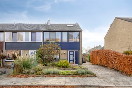 undefined main image