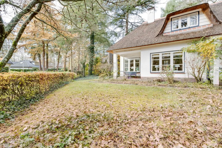 Foto 50 van Larixlaan 2