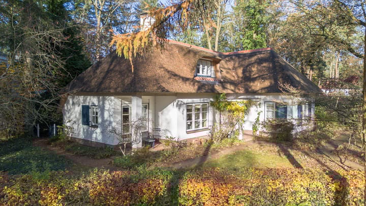 Foto 54 van Larixlaan 2