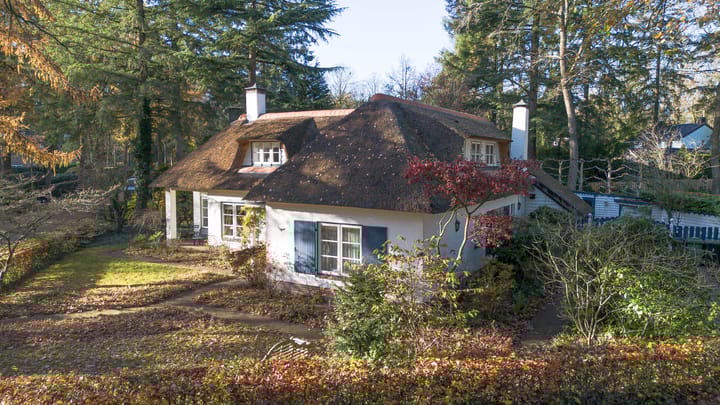 Foto 55 van Larixlaan 2