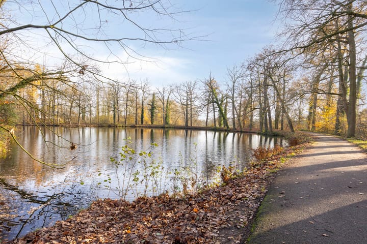 Foto 43 van Roerdompstraat 81