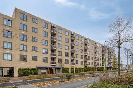 Ir J.P. van Muijlwijkstraat thumbnail