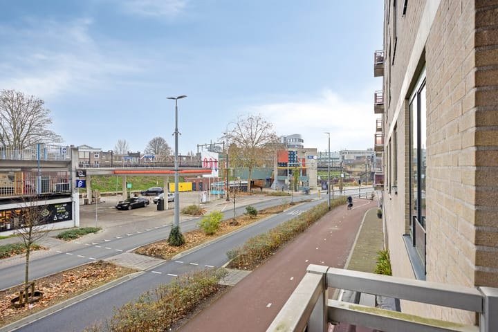 Photo 21 of Ir J.P. van Muijlwijkstraat 302