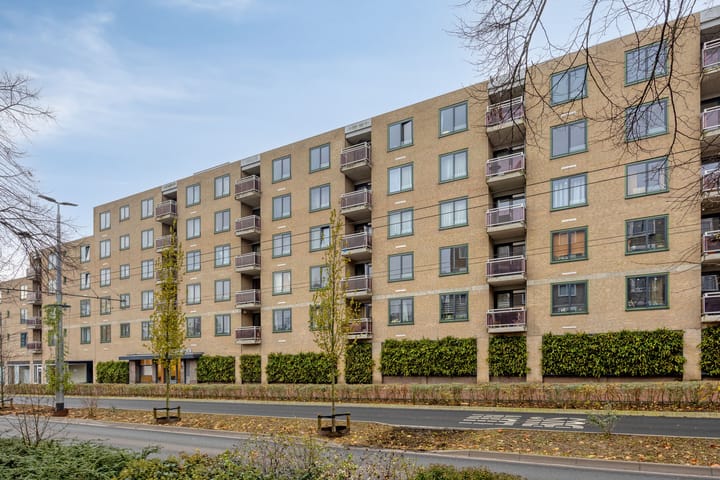 Photo 24 of Ir J.P. van Muijlwijkstraat 302