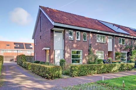 undefined main image