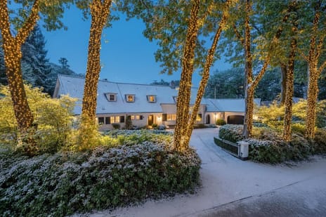 Kivitslaan thumbnail