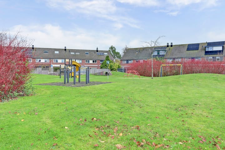 Photo 29 of Andromeda 25