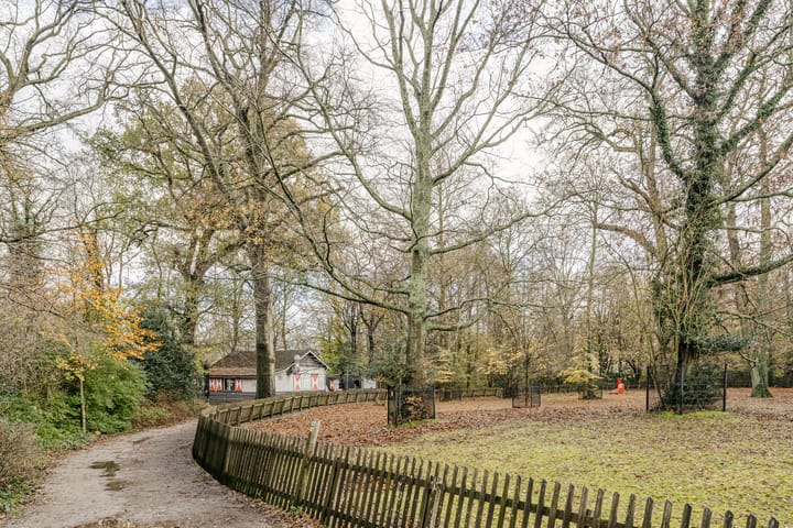 Foto 17 van Lommerlustlaan 31