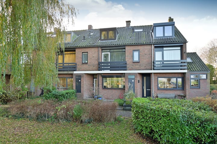 Foto 2 van de Lelie 6