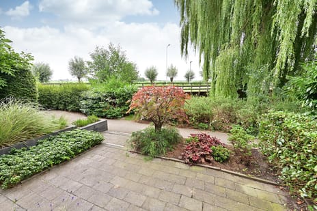 de Lelie 6 tertiary image