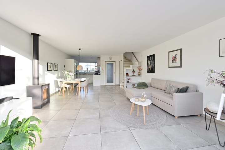 Foto 5 van de Lelie 6