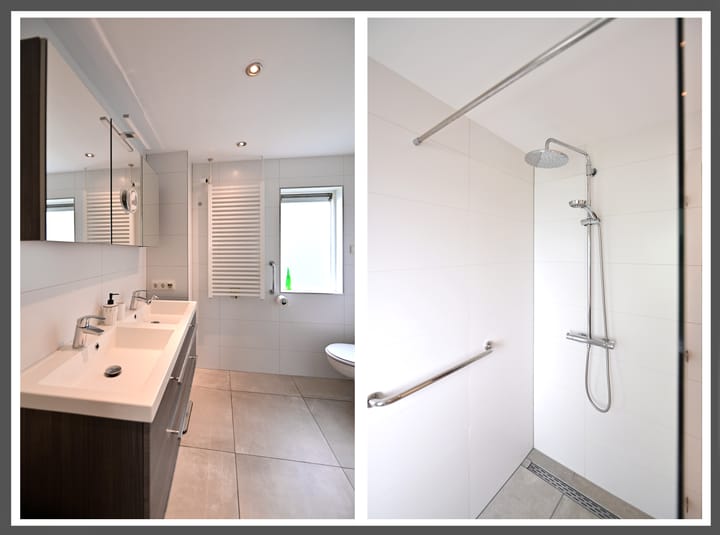 Foto 12 van de Lelie 6