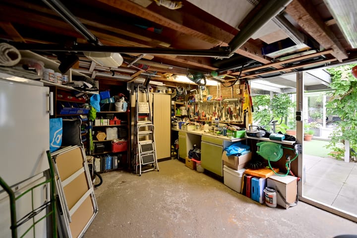 Foto 20 van de Lelie 6