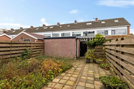 Rietgans 4 secondary image