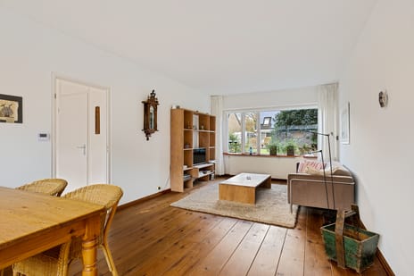 Rietgans 4 tertiary image