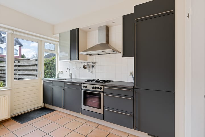 Foto 4 van Rietgans 4