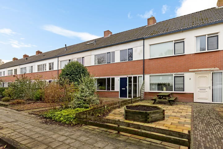 Foto 5 van Rietgans 4