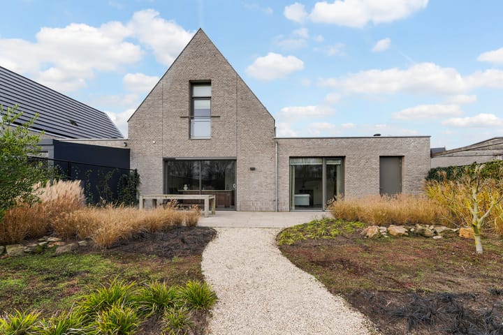 Murano 49 main image