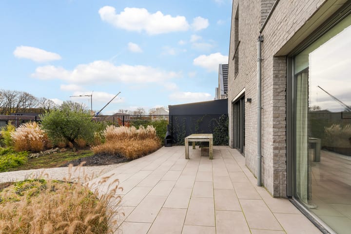 Foto 44 van Murano 49