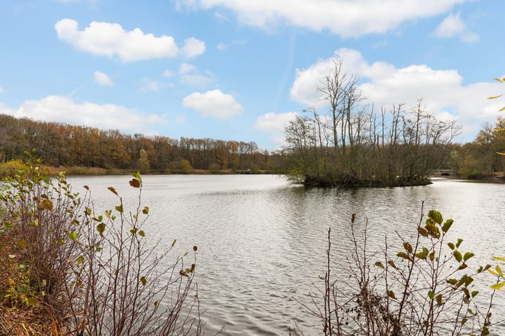 Foto 52 van Murano 49