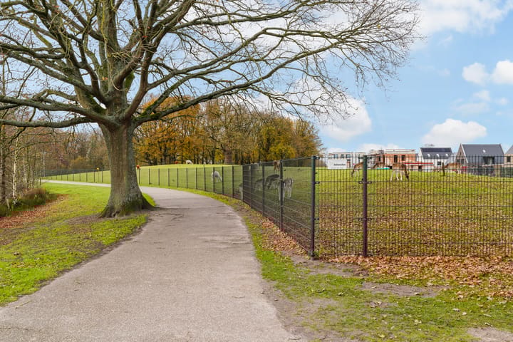 Foto 53 van Murano 49