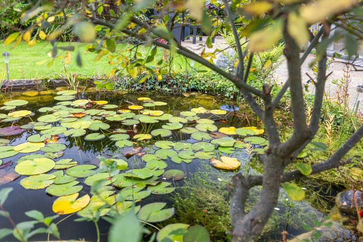 Foto 31 van Voorhorsterbrink 3