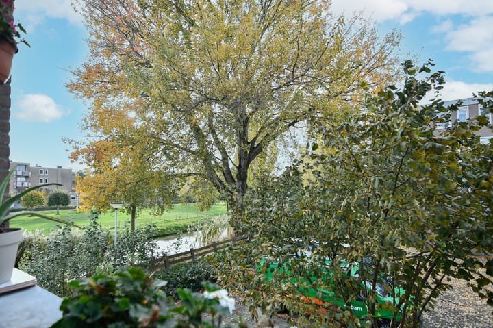 Foto 14 van Werkhovenstraat 71