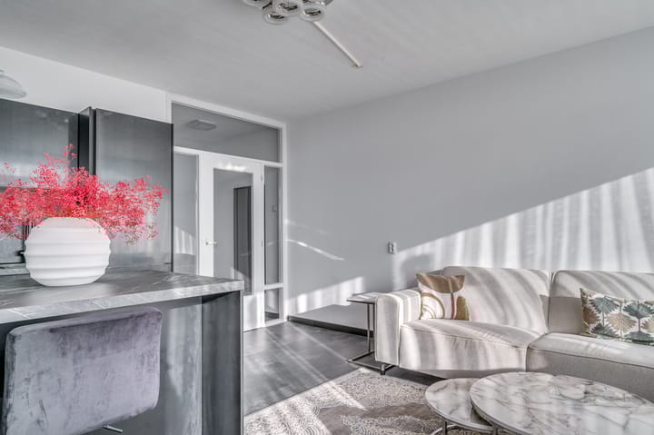 Photo 7 of Jan Vermeerstraat 455