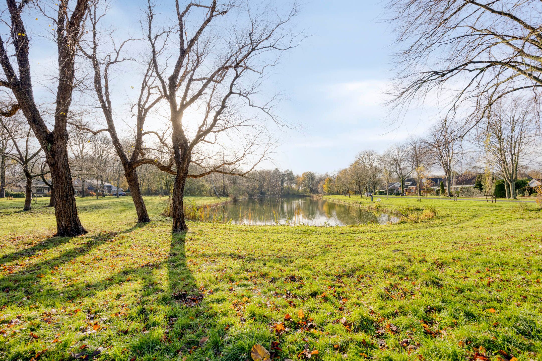 Photo 42 of Heersmeeth 8