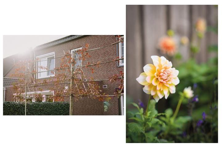 Foto 14 van Bloklandsingel 14