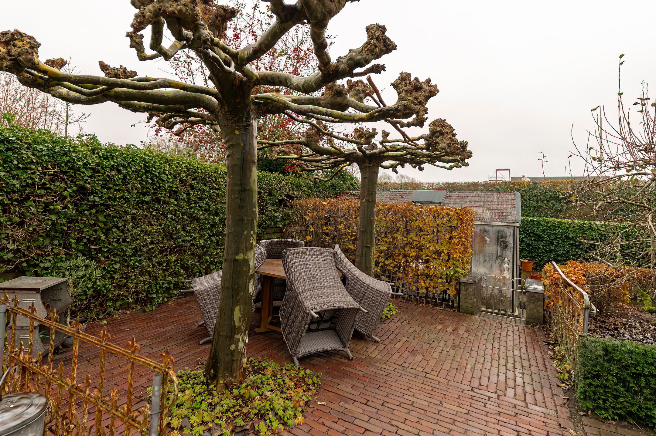 Foto 36 van Peppelbos 60