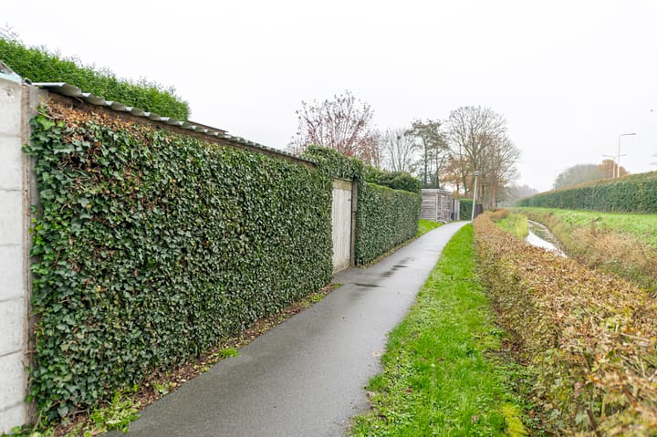 Foto 41 van Peppelbos 60