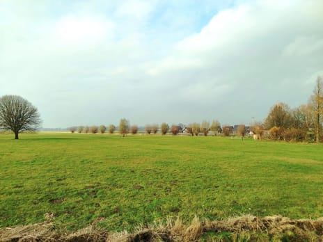 De Volle Handt secondary image