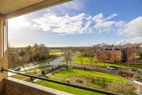 Nesciolaan thumbnail