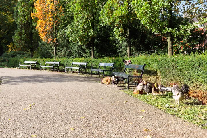 Photo 37 of Adriaan van Bergenstraat 27