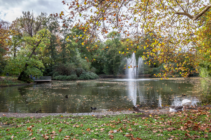 Photo 38 of Adriaan van Bergenstraat 27