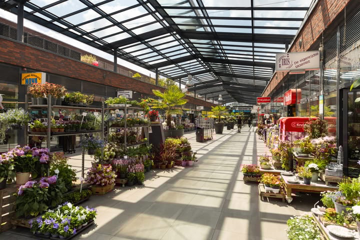 Photo 42 of Adriaan van Bergenstraat 27