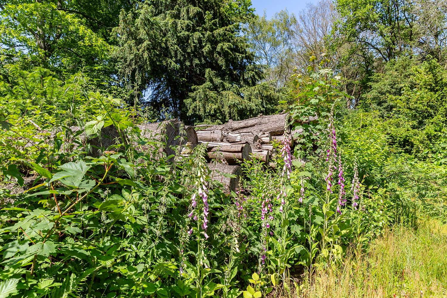 Foto 12 van Merseloseweg 121-F